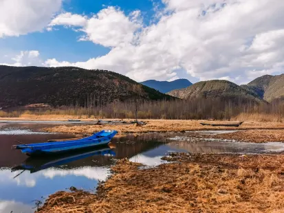 ボビー カジノ モバイルアプリ